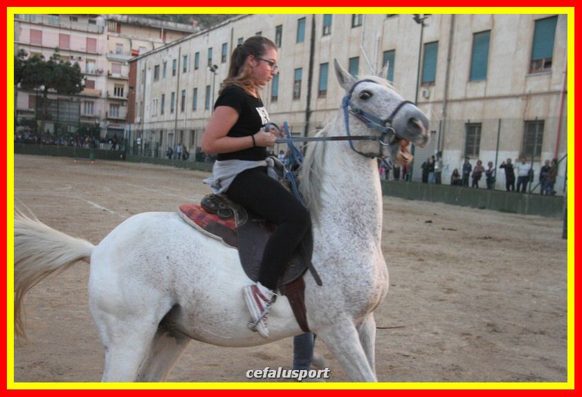 161106 equestre 163_tn.jpg